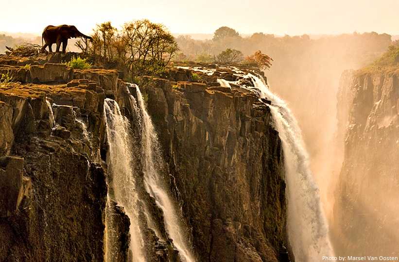 Attachment elephant-victoria-falls.jpg